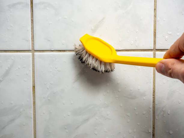 Best Home Mold Removal  in Lake Erie Beach, NY
